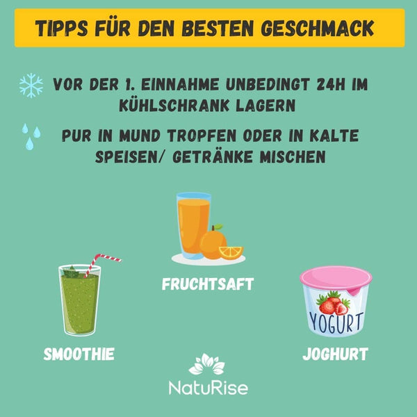 NatuRise® Omega 3 Vegan - Algenöl - 1884mg DHA, EPA & DPA - Hochdosiert - 100 ml - Laborgeprüft – Triglycerid-Form - Pipette mit Dosierskala - UV-Glas