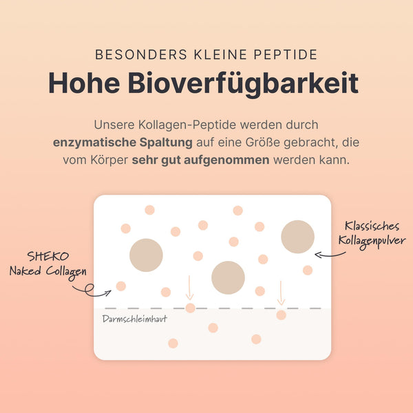 SHEKO Premium Kollagen Pulver 450g - Natürliches Bioaktives Kollagen Hydrolysat - Peptide Typ 1, 2, 3 - Collagen Pulver - Reinste Qualität - Optimale Löslichkeit - Proteinpulver - Made in Germany