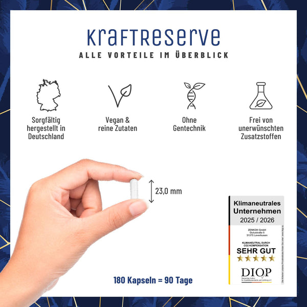 Magnesium Komplex hochdosiert – Hochwertige Mischung aus Magnesiumcitrat, Bisglycinat, Magnesium Malat und Magnesiumoxid – Vegan – 180 Kapseln - Bodyshop-fit