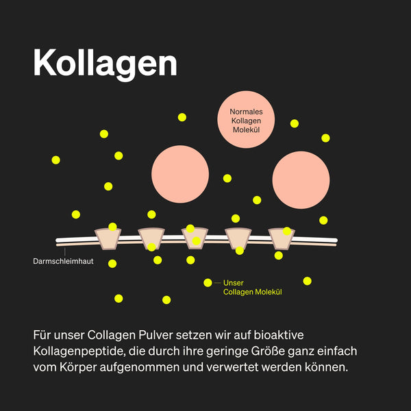 natural elements Hyaluronsäure Kollagen Komplex - 180 Kapseln - Angereichert mit Biotin, Selen, Zink, Vitamin C aus Acerola & Bambusextrakt - Laborgeprüft