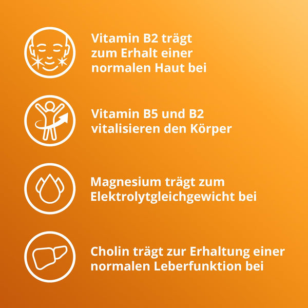 ELOTRANS Elektrolyt-Mischung - Isotonische Elektrolyt-Glucose-Mischung mit Magnesium, Kaliumchlorid, Cholin und B-Vitaminen - 1 x 15 Beutel - Bodyshop-fit