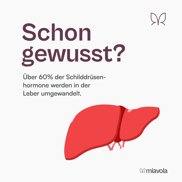 miavola Schilddrüsen Leber Komplex - Hochdosierte 60 Kapseln mit Mariendistel, Artischocke, Cholin, Glutathion, Selen, NAC und Aminosäuren - Bodyshop-fit