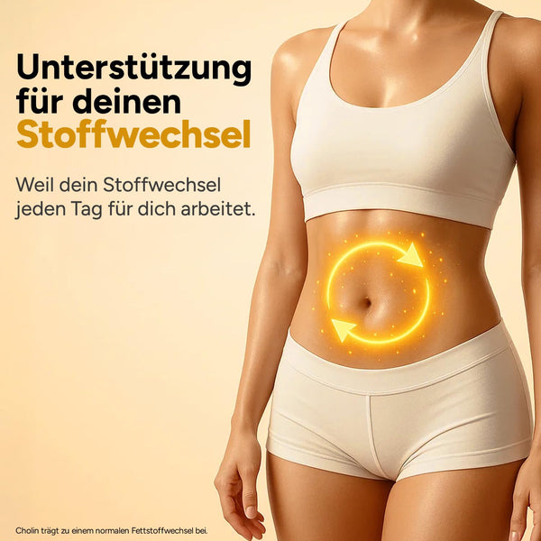 Leber Kur Mariendistel hochdosiert - 80% Silymarin, Artischocke, Löwenzahn, Curcuma, Desmodium & Cholin für optimale Lebergesundheit - 8-Fach Komplex - Bodyshop-fit