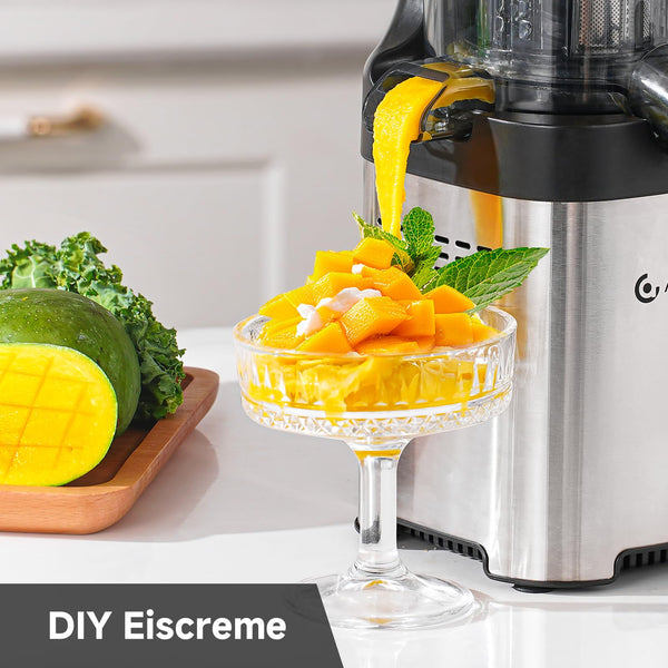 AMZCHEF Slow Juicer - Entsafter mit 120MM Breite und großer Fütterungsröhre für ganze Obst und Gemüse - Leicht zu reinigender Entsafter mit 2 Gläsern - Silbrig - Bodyshop-fit