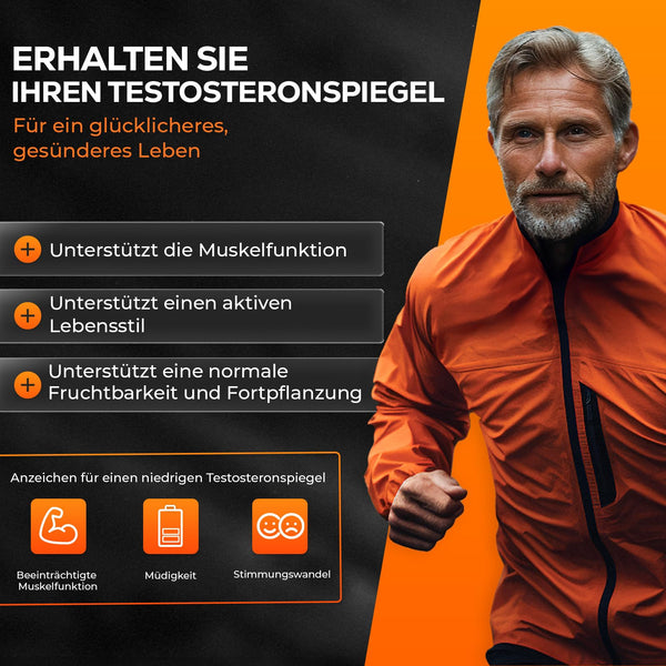 4 HIM TestoBalance für Männer - Normaler Testosteronspiegel, Energie und Muskelfunktion mit Zink, Magnesium, B6 Complex, L-Arginin, Ginseng und Selen - 60 Vegane Tabletten - Bodyshop-fit