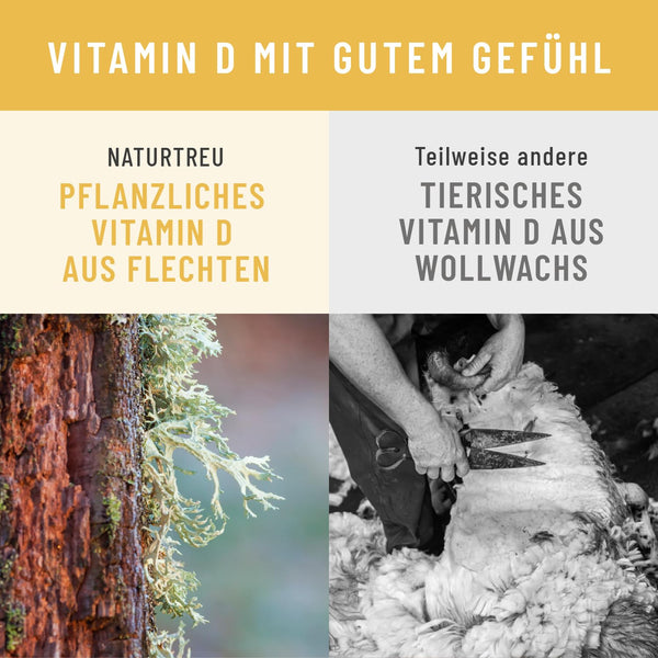 NATURTREU® Vitamin D3 K2 Tropfen hochdosiert & vegan - 100% pflanzlich (ohne tierisches Lanolin) - 1000IE Vitamin D + Vitamin K2 - Sonnenfreund