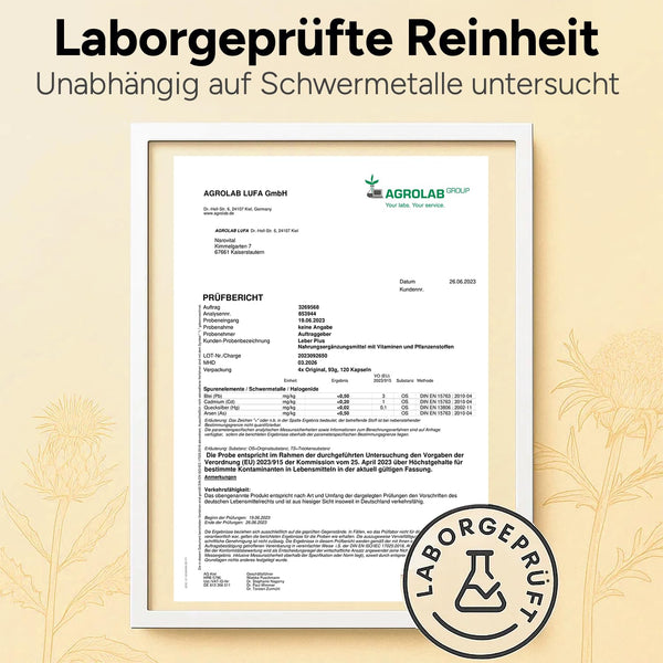 Leber Kur Mariendistel hochdosiert - 80% Silymarin, Artischocke, Löwenzahn, Curcuma, Desmodium & Cholin für optimale Lebergesundheit - 8-Fach Komplex - Bodyshop-fit