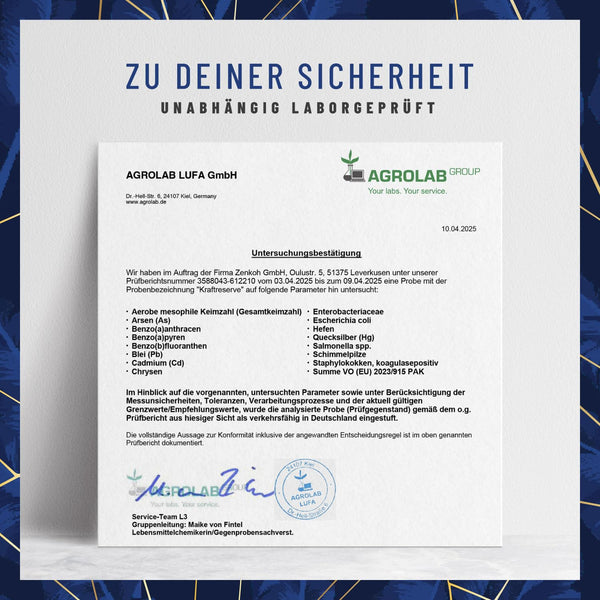 Magnesium Komplex hochdosiert – Hochwertige Mischung aus Magnesiumcitrat, Bisglycinat, Magnesium Malat und Magnesiumoxid – Vegan – 180 Kapseln - Bodyshop-fit