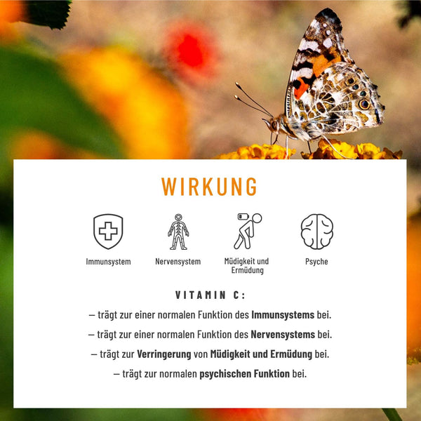 Quercetin Bromelain Komplex vegan 120 Kapseln - 500mg hochdosiertes Quercetin, 100mg Bromelain und 16mg Vitamin C pro Tagesdosis - Blütezeit von Naturtreu - Bodyshop-fit