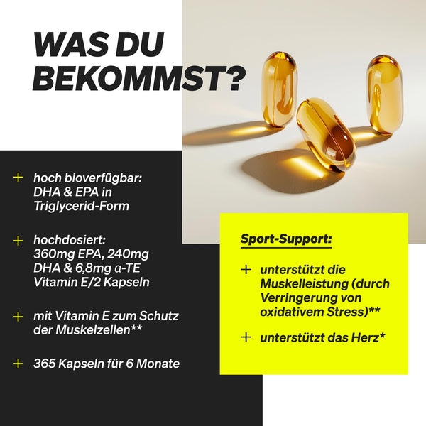Omega 3 Fischöl Kapseln – 365 Kapseln mit 2000mg reinem Fischöl, EPA & DHA in Triglycerid-Form, laborgeprüft & nachhaltig gefangen für optimale Gesundheit - Bodyshop-fit