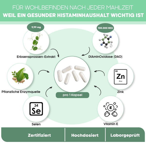 DAO Kapseln hochdosiert – 300.000 HDU Diaminoxidase pro Tagesdosis – veganes Enzym aus Erbsensprossen gegen Histamin – 120 laborgeprüfte Kapseln - Bodyshop-fit