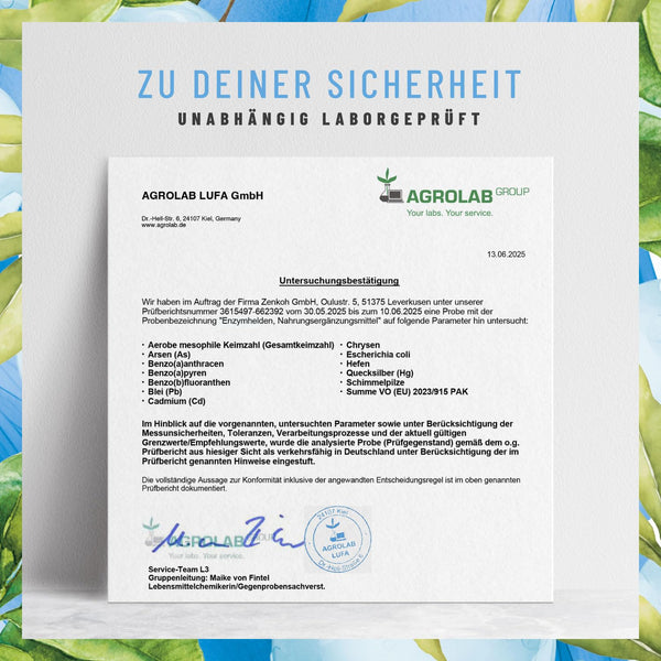 NATURTREU® Verdauungsenzyme (Digestive Enzyme) - Enzymhelden: Enzym Komplex mit Protease, α-Amylase & Lipase - 120 vegane Kapseln - in Deutschland produziert & laborgeprüft