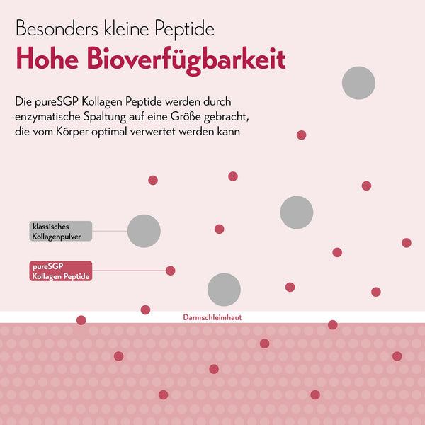 pureSGP® Kollagen [300g]: Reinstes Kollagen in Apothekenqualität - Bioaktive Premium-Peptide aus hochwertigem Kollagenhydrolysat. Mit Vitamin C & Biotin - Geschmacksneutral - Gute Löslichkeit