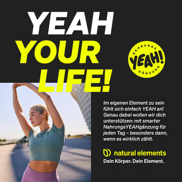 Omega 3 Fischöl Kapseln – 365 Kapseln mit 2000mg reinem Fischöl, EPA & DHA in Triglycerid-Form, laborgeprüft & nachhaltig gefangen für optimale Gesundheit - Bodyshop-fit
