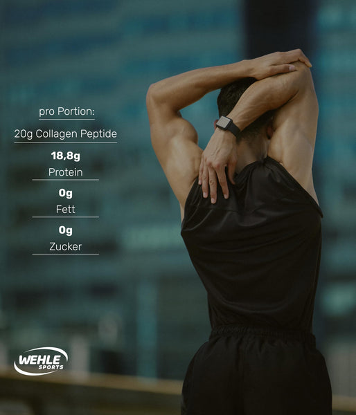 Collagen Pulver 1 kg – Kollagenhydrolysat Peptide Typ I, II & III – Geschmacksneutrales Eiweißpulver – Made in Germany – Wehle Sports (1000g (1er Pack)) - Verpackung kann variieren.