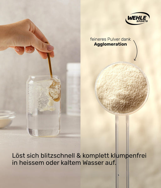 Collagen Pulver 1 kg – Kollagenhydrolysat Peptide Typ I, II & III – Geschmacksneutrales Eiweißpulver – Made in Germany – Wehle Sports (1000g (1er Pack)) - Verpackung kann variieren.