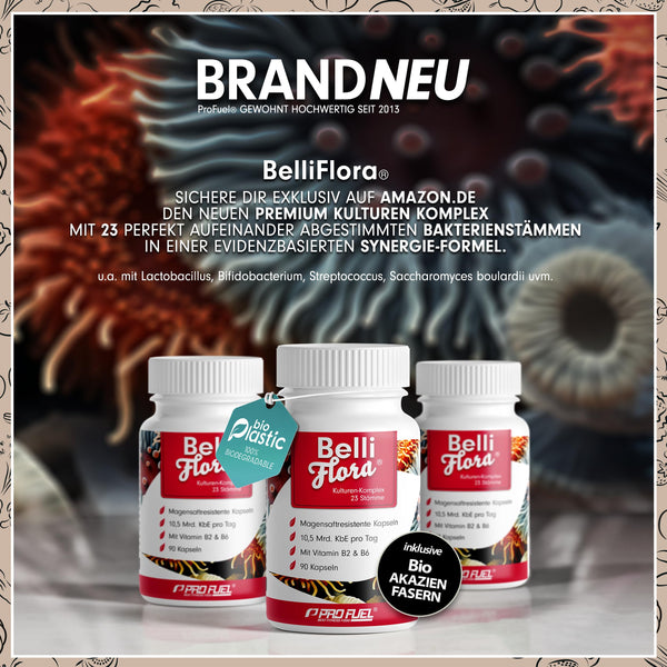 VITAMIN B12 hochdosiert 500 µg - 365 vegane Tabletten mit Biofolate® Folsäure, laborgeprüft - Bodyshop-fit