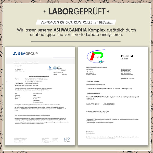Ashwagandha Kapseln hochdosiert 120x - 600 mg KSM-66® pro Tag mit Magnesium, Zink, Vitamin B6, Piperin - Vegan & laborgeprüft - Bodyshop-fit