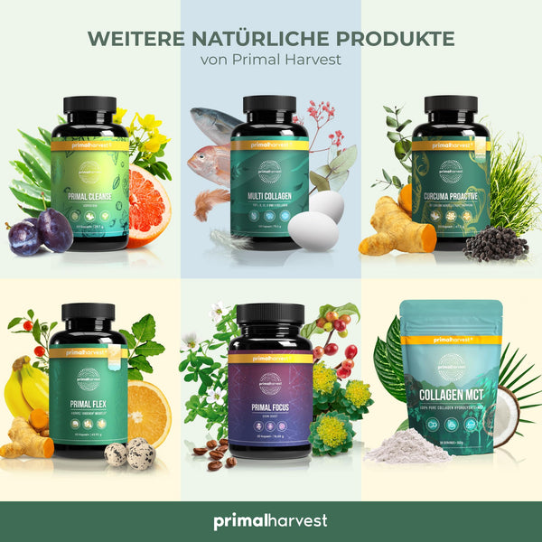 Primal Harvest Multivitamin Tabletten - Hochdosierte Kapseln mit Vitaminen A, C, D, K und Mineralstoffen für optimale Gesundheit (30 Portionen) - Bodyshop-fit