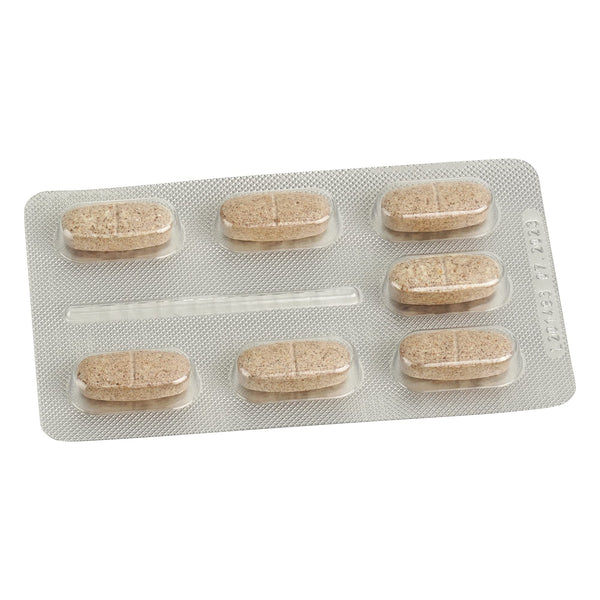 innovazym® Multi-Enzym-Komplex| Entwickelt von der Medizinischen Enzymforschungsgesellschaft| Lysozym+Papain+Bromelain+Bioflavonoide+Q10+Vitamine | 98 Tabletten hochdosiert