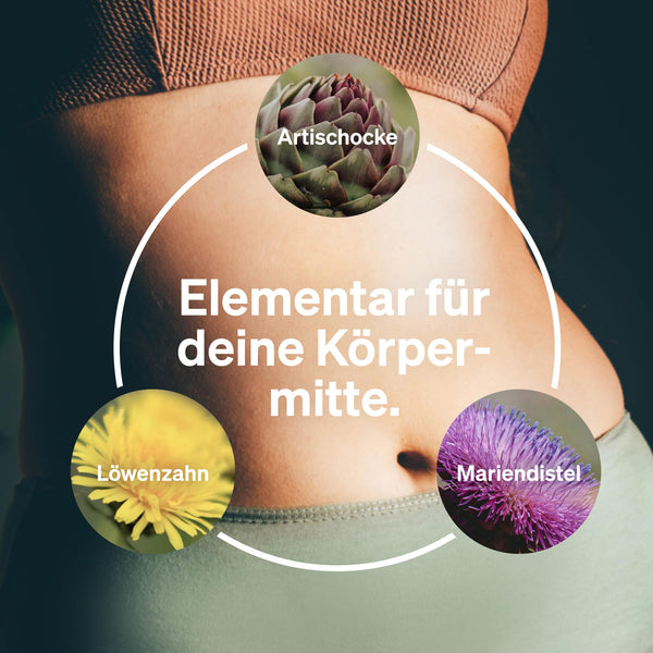 natural elements Mariendistel Artischocke Löwenzahn Komplex - 120 Kapseln - Hochdosiert mit 80% Silymarin - Ohne Magnesiumstearat, vegan und produziert in Deutschland
