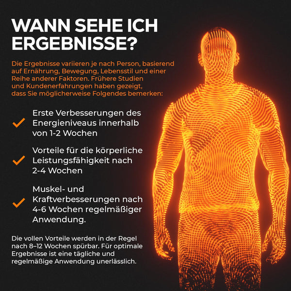 4 HIM TestoBalance für Männer - Normaler Testosteronspiegel, Energie und Muskelfunktion mit Zink, Magnesium, B6 Complex, L-Arginin, Ginseng und Selen - 60 Vegane Tabletten - Bodyshop-fit