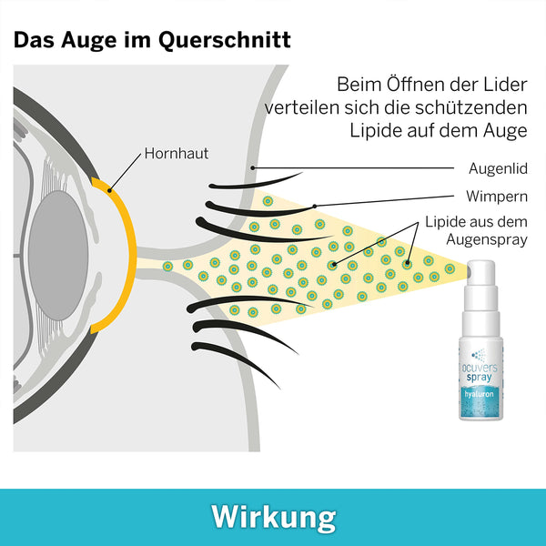 Ocuvers Hyaluron Augenspray – mit Liposomen - 15ml Augenspray gegen trockene Augen - Die Alternative zu Augentropfen gegen trockene Augen