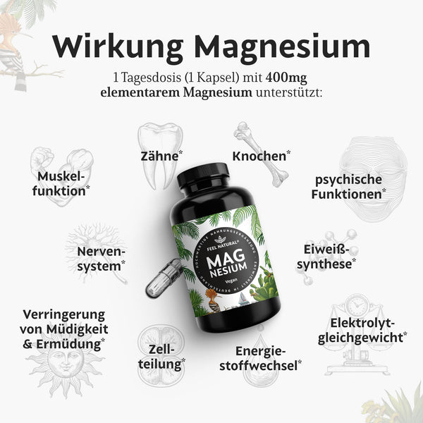 Magnesium hochdosiert Kapseln - 365 Stück (Jahresvorrat) - 664mg je Kapsel, davon 400mg elementares Magnesium - höherer Gehalt als andere Magnesiumformen - Laborgeprüft & Vegan