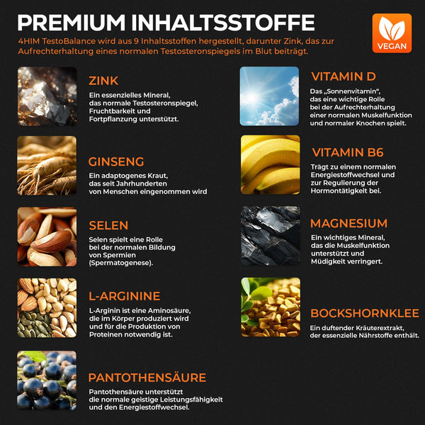 4 HIM TestoBalance für Männer - Normaler Testosteronspiegel, Energie und Muskelfunktion mit Zink, Magnesium, B6 Complex, L-Arginin, Ginseng und Selen - 60 Vegane Tabletten - Bodyshop-fit