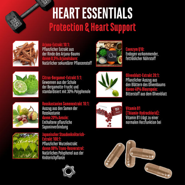 Heart Essentials - 120 Kapseln - Herz Komplex* mit hochdosierten 200mg Q10, 1000mg Arjuna Extrakt, 750mg Citrus Bergamot, Rosskastanien, Resveratrol, Olivenblatt, Vitamin B1 - Vegan