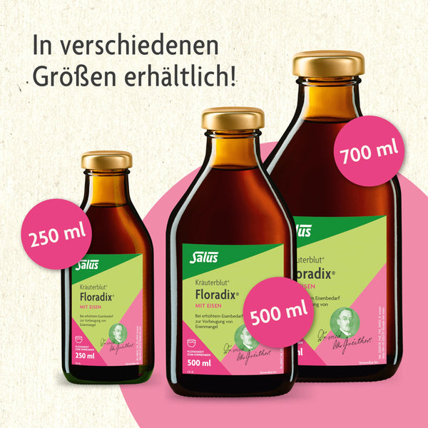 FLORADIX mit Eisen Lösung zum Einnehmen 700 ml