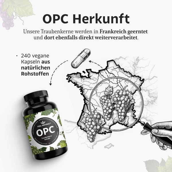 OPC Traubenkernextrakt – 240 Kapseln mit 1000mg OPC Extrakt – Höchster OPC Gehalt nach HPLC – aus französischen Weintrauben – Vegan, hochdosiert, in Deutschland produziert