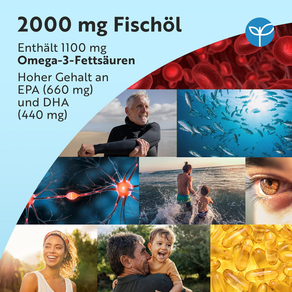Nutravita Omega 3 Kapseln hochdosiert 2000mg Fischöl mit 660mg EPA und 440mg DHA für Herz, Gehirn und Augen – 240 Weichkapseln für 4 Monate - Bodyshop-fit