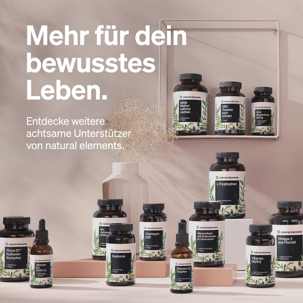 natural elements Curcuma Extrakt – Hochdosiert: Curcumingehalt EINER Kapsel entspricht 10.000mg Kurkuma – Hochdosiert aus 95% Extrakt – 90 Kapseln
